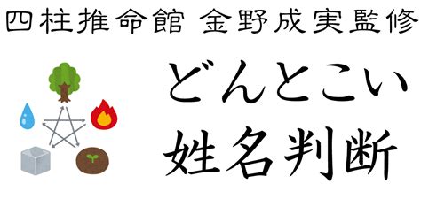 地格11|地格（地運）の意味と計算方法：二十代までの若年期に影響する。